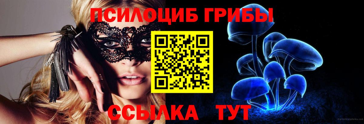 Галлюциногенные грибы Psilocybine cubensis  Псилоцибиновые грибы мицелий  Вход с VPN  Кохма 