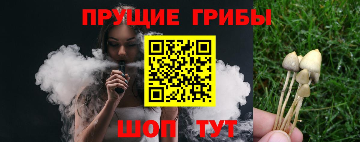 Псилоцибиновые грибы прущие грибы Кохма